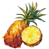 Pineapple