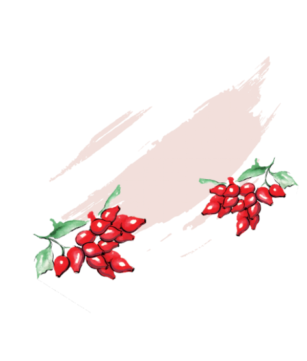 Rose hip