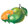 Lemon-Lime