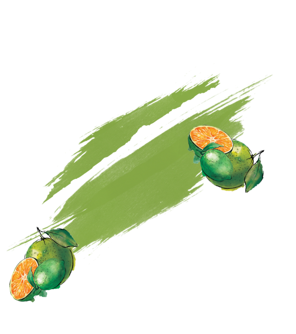 Green Orange & Lime