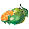 Green Orange & Lime