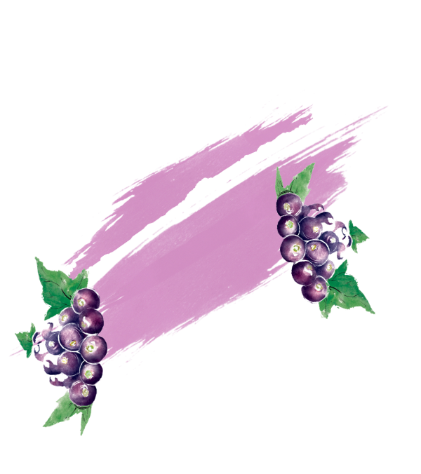 Blackcurrant