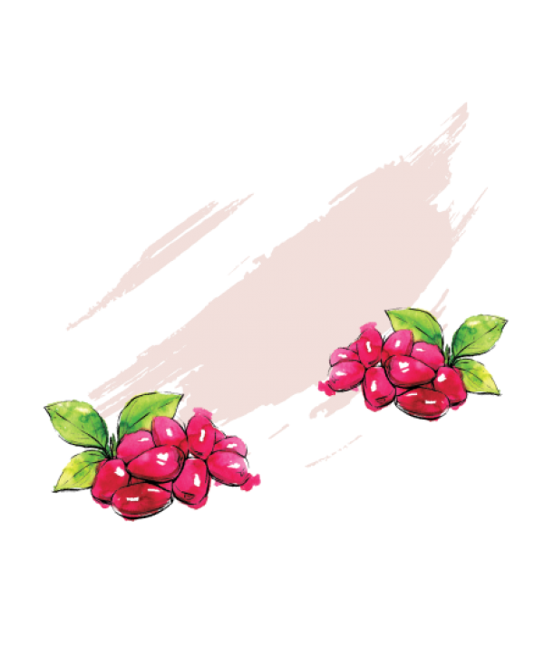 Հոն