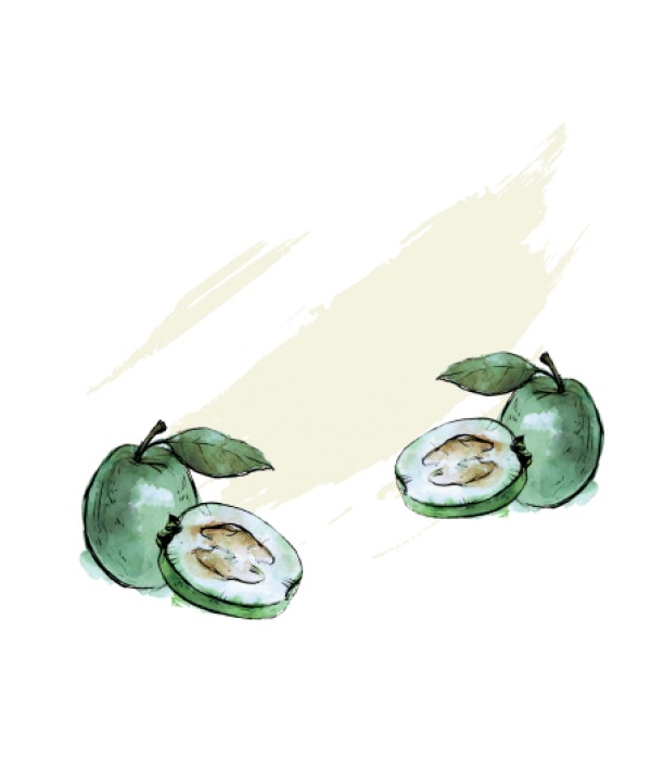 Ֆեյխոա