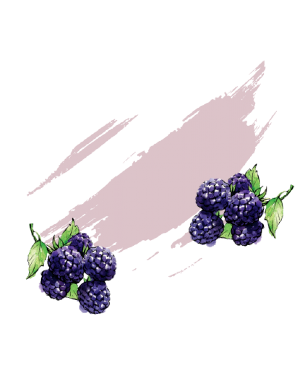 Մոշ