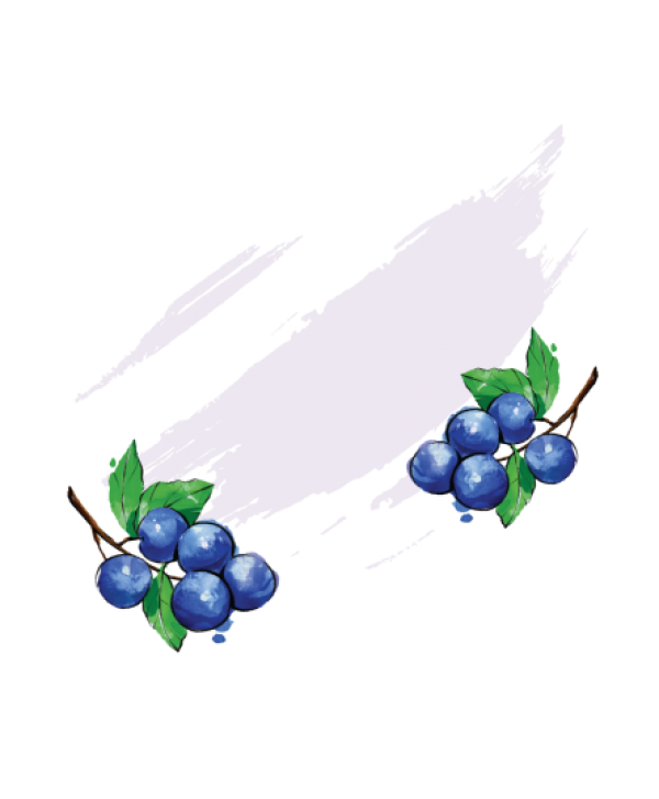 Սև հաղարջ