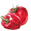 Salsa